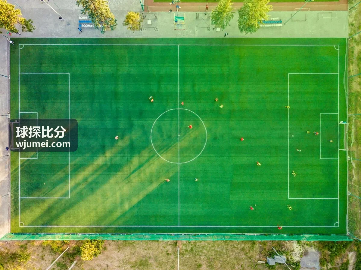拜仁慕尼黑球探比分
